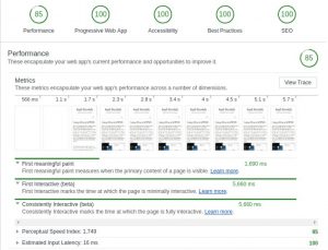 Screenshot of audit tab in Chrome of Lighthouse performance testing